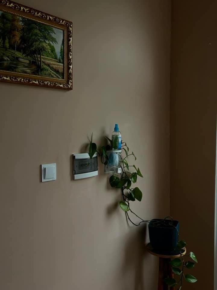 Mountain Heart Bed & Breakfast Kazbegi Ngoại thất bức ảnh